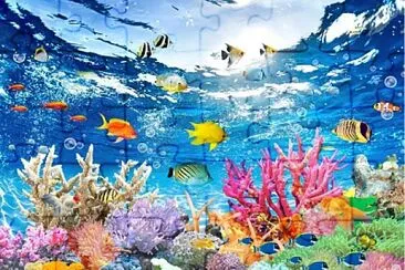 4 jigsaw puzzle