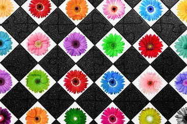 Fleurs