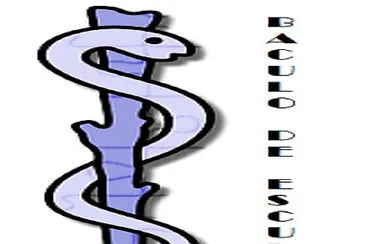 Baculo