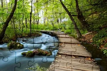 Naturaleza jigsaw puzzle