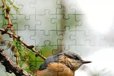 פאזל של natural