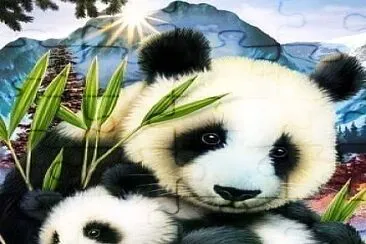 natural jigsaw puzzle