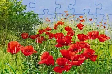 imagem jigsaw puzzle