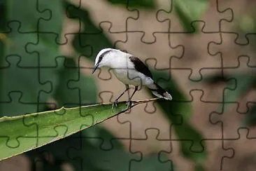 Rio de Janeiro - Brasil jigsaw puzzle