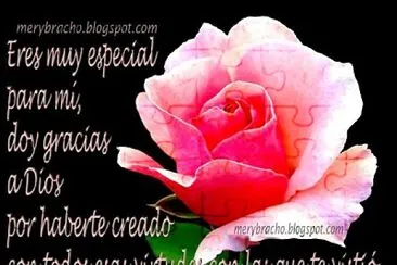 rosal de ROSa jigsaw puzzle
