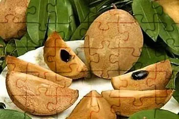  jigsaw puzzle