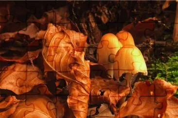 OtoÃ±o jigsaw puzzle