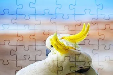 love jigsaw puzzle