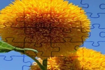 flores amarelas jigsaw puzzle