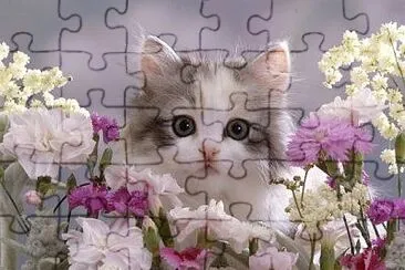 alw2589 jigsaw puzzle