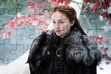 sansa jigsaw puzzle