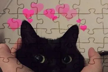 Gatito jigsaw puzzle