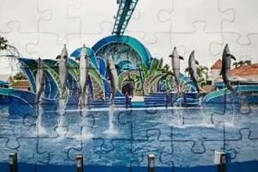 Flying Dolphins jigsaw puzzle