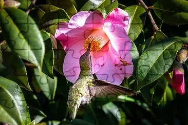 flores jigsaw puzzle