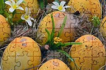 Foto jigsaw puzzle