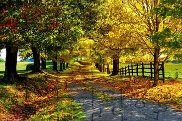 Foto jigsaw puzzle