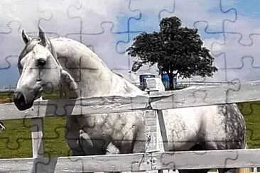 tremendo tordillo jigsaw puzzle