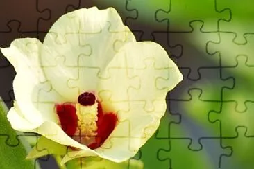 Foto jigsaw puzzle