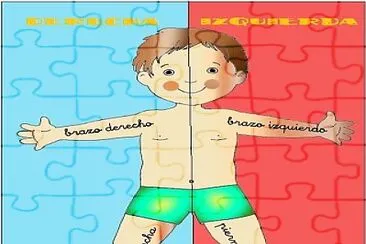 cuerpo