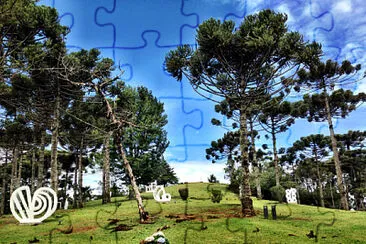 imagem jigsaw puzzle