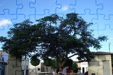 Foto jigsaw puzzle