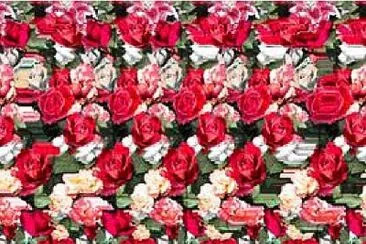 Foto jigsaw puzzle