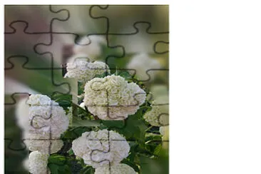 Hortensia jigsaw puzzle