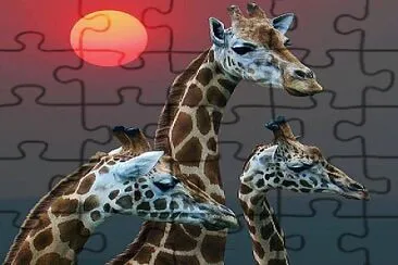 natural jigsaw puzzle