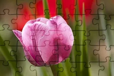 Foto jigsaw puzzle