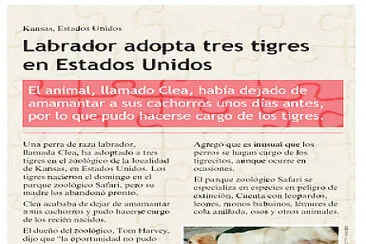 La noticia jigsaw puzzle