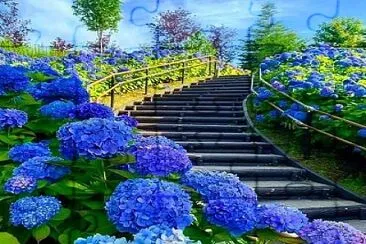 flores jigsaw puzzle