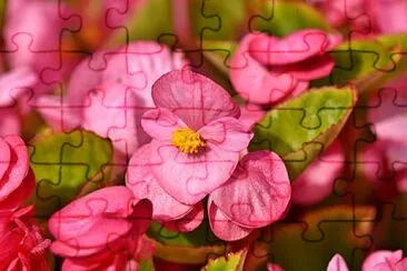 OK jigsaw puzzle