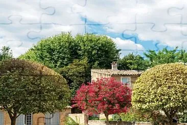 natural jigsaw puzzle