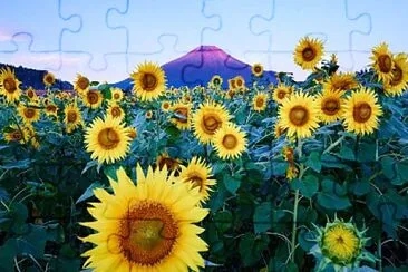 flores jigsaw puzzle