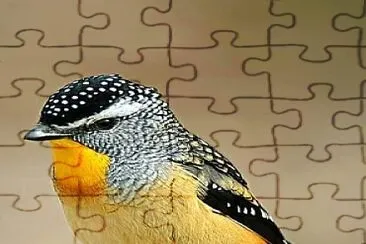 natural jigsaw puzzle
