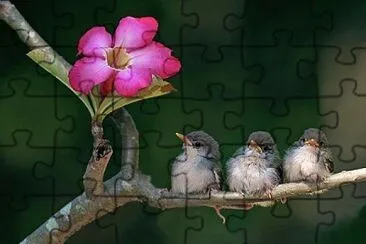 flores jigsaw puzzle