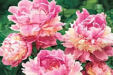 flores jigsaw puzzle