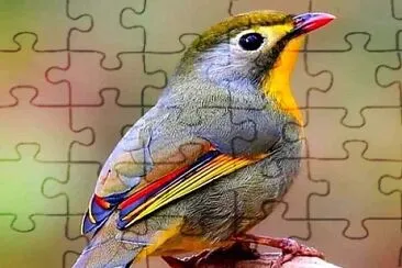 פאזל של cores