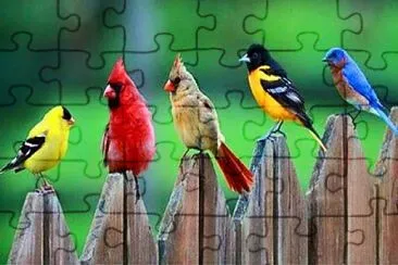 Pajaritos Bellos jigsaw puzzle