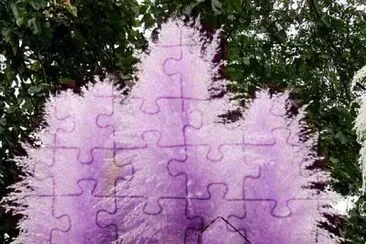 imagem jigsaw puzzle