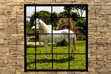 blanquito jigsaw puzzle