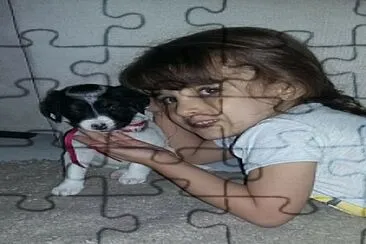  jigsaw puzzle