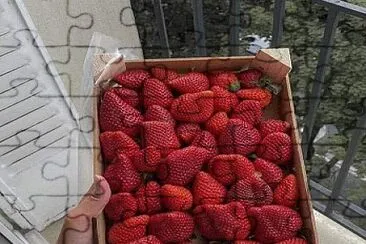 פאזל של frutas