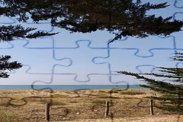 StÃ©phane jigsaw puzzle