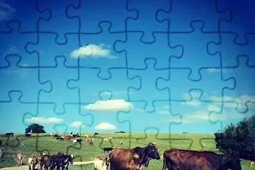 natural jigsaw puzzle