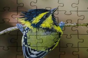 פאזל של natural