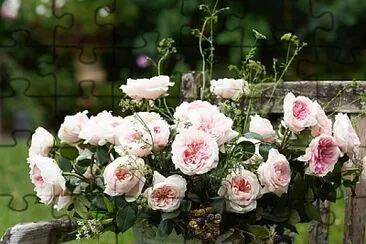 flores jigsaw puzzle