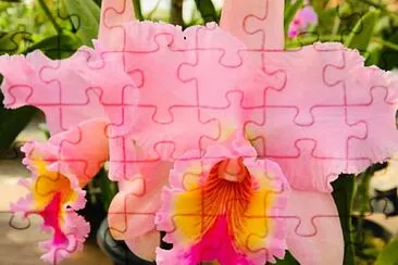 flores jigsaw puzzle