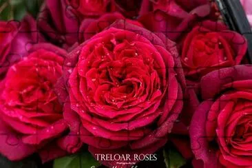 flores jigsaw puzzle