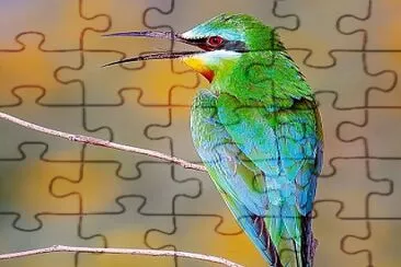 natural jigsaw puzzle
